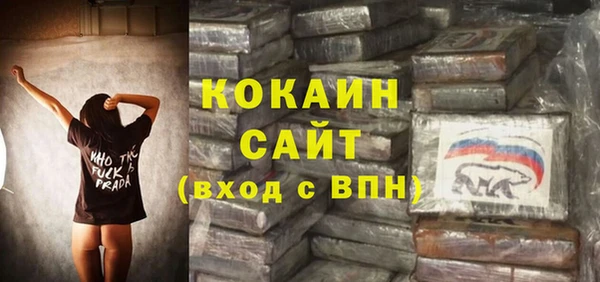соль ск Алзамай
