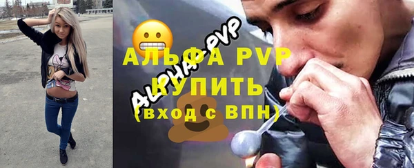шишки Новокубанск